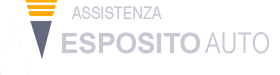 Assistenza Esposito Auto – Autoricambi e revisioni veicoli Logo